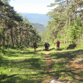 Rodil y Peñalisa (209)